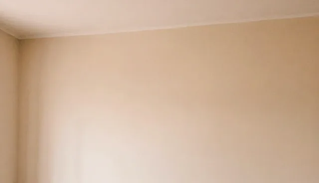 服务器配置使用与维护建议：适用场景与限制分析